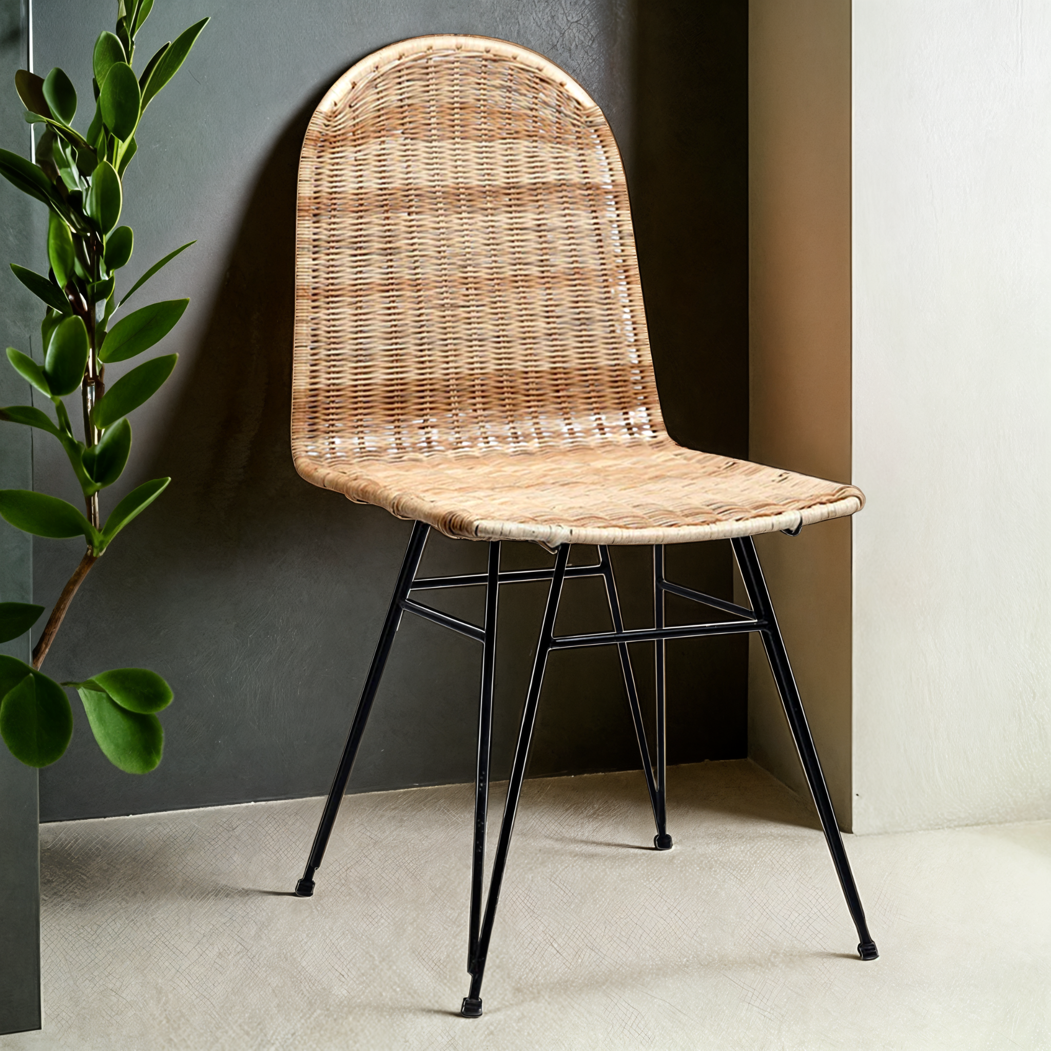 Chaise en Rotin Design | Pieds Métal Noir | Fiolla Home