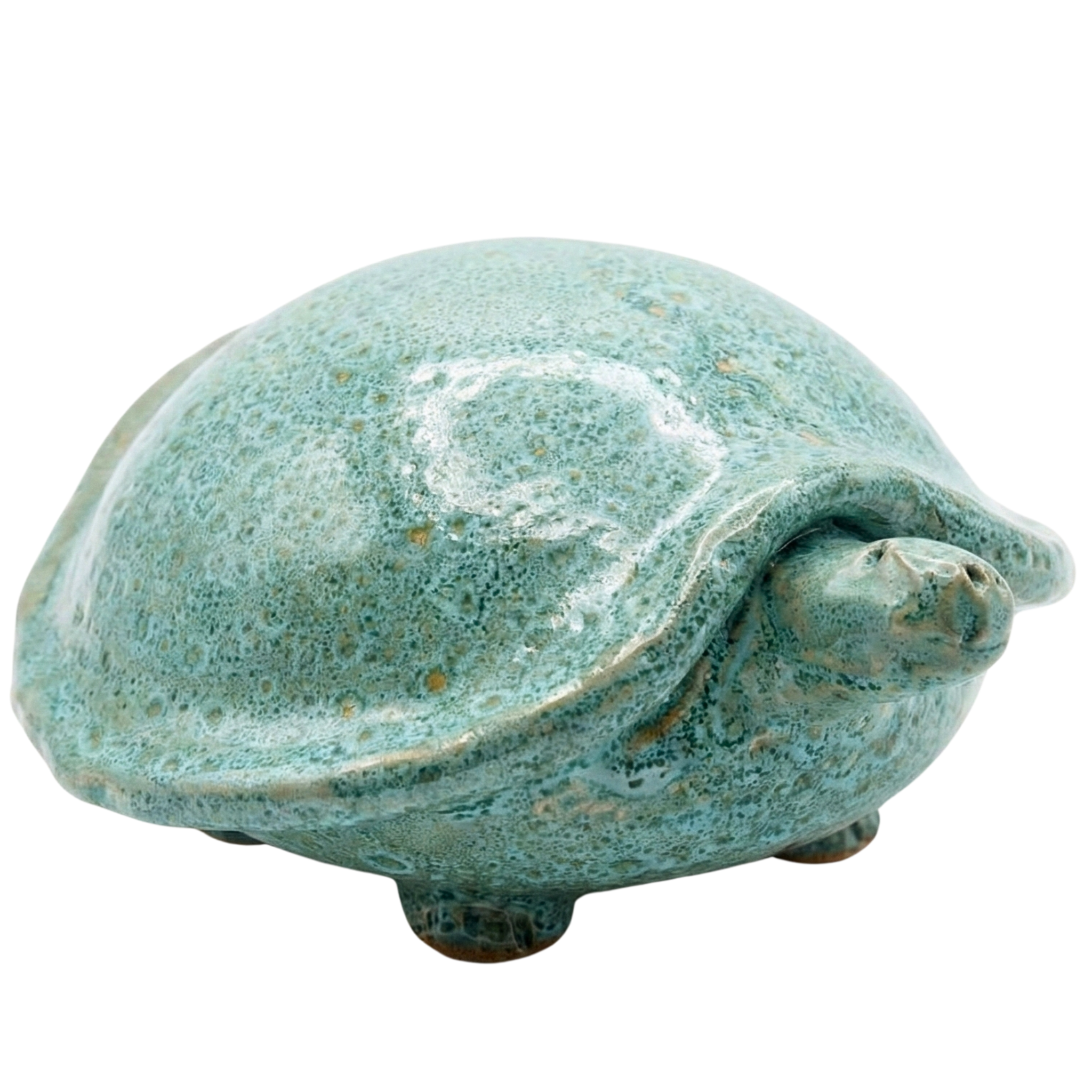 Tortue