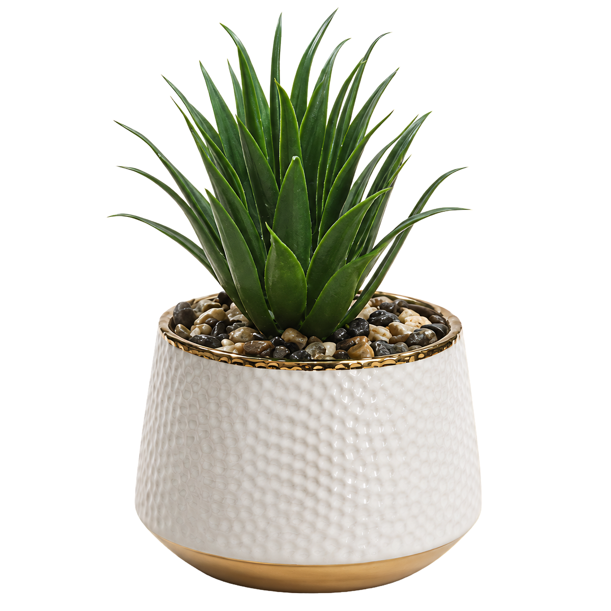 Plante