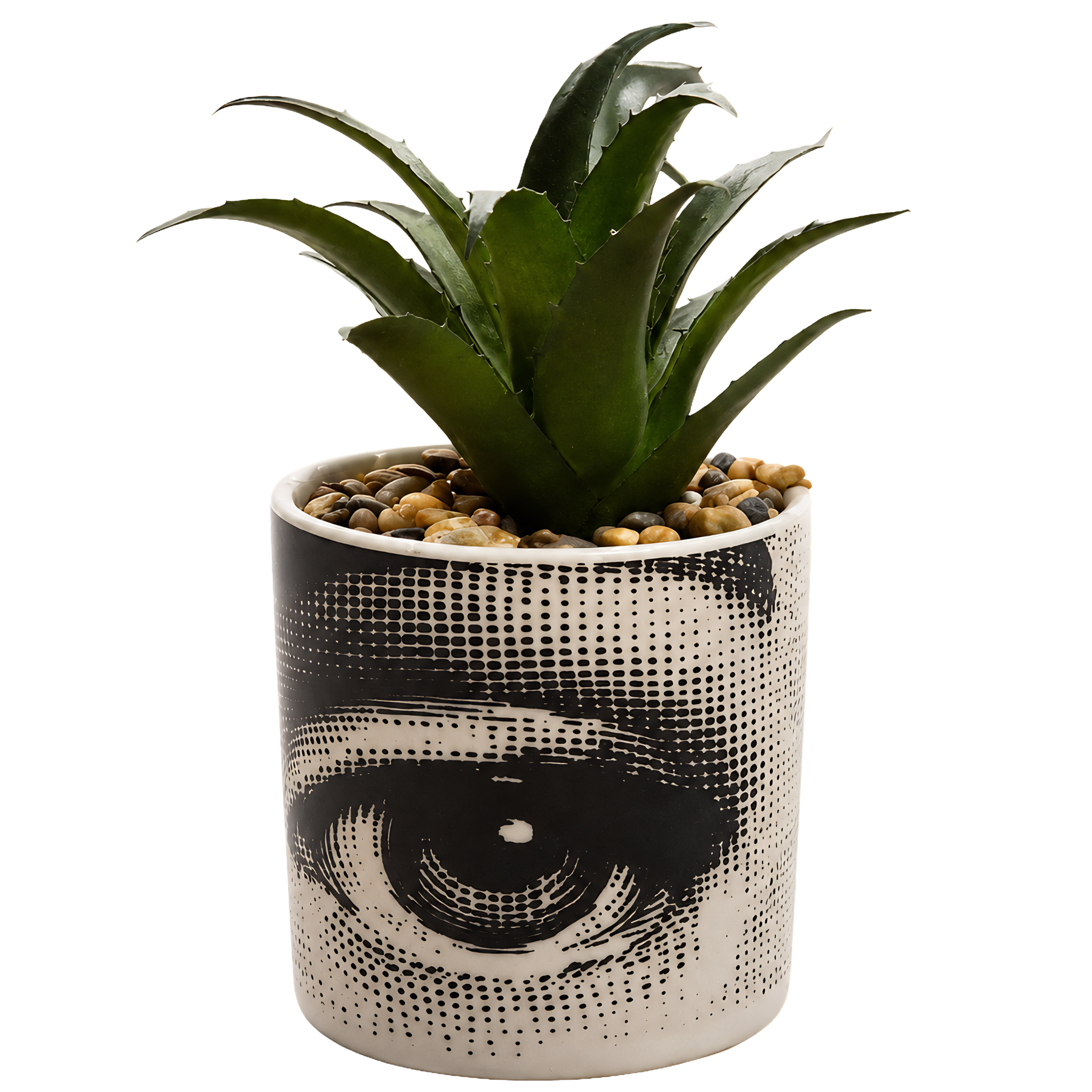 Plante Succulente Artificielle | Pot Œil Graphique Tunisie | Fiolla Home