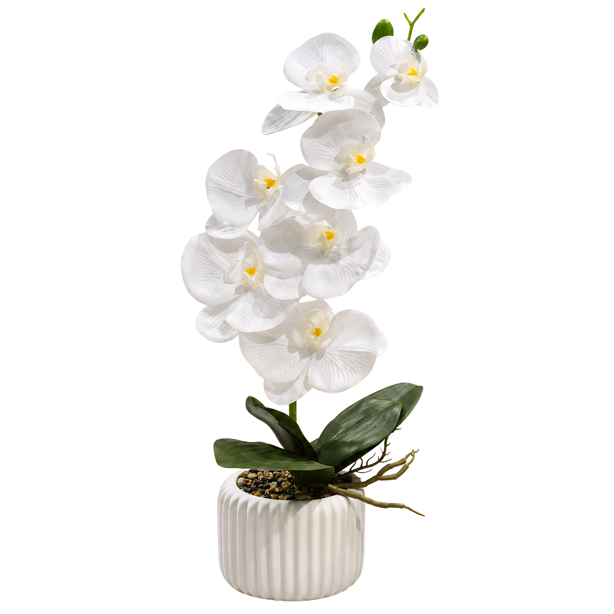 Orchidée Artificielle Pot Blanc Strié Tunisie | Minimaliste | Fiolla Home