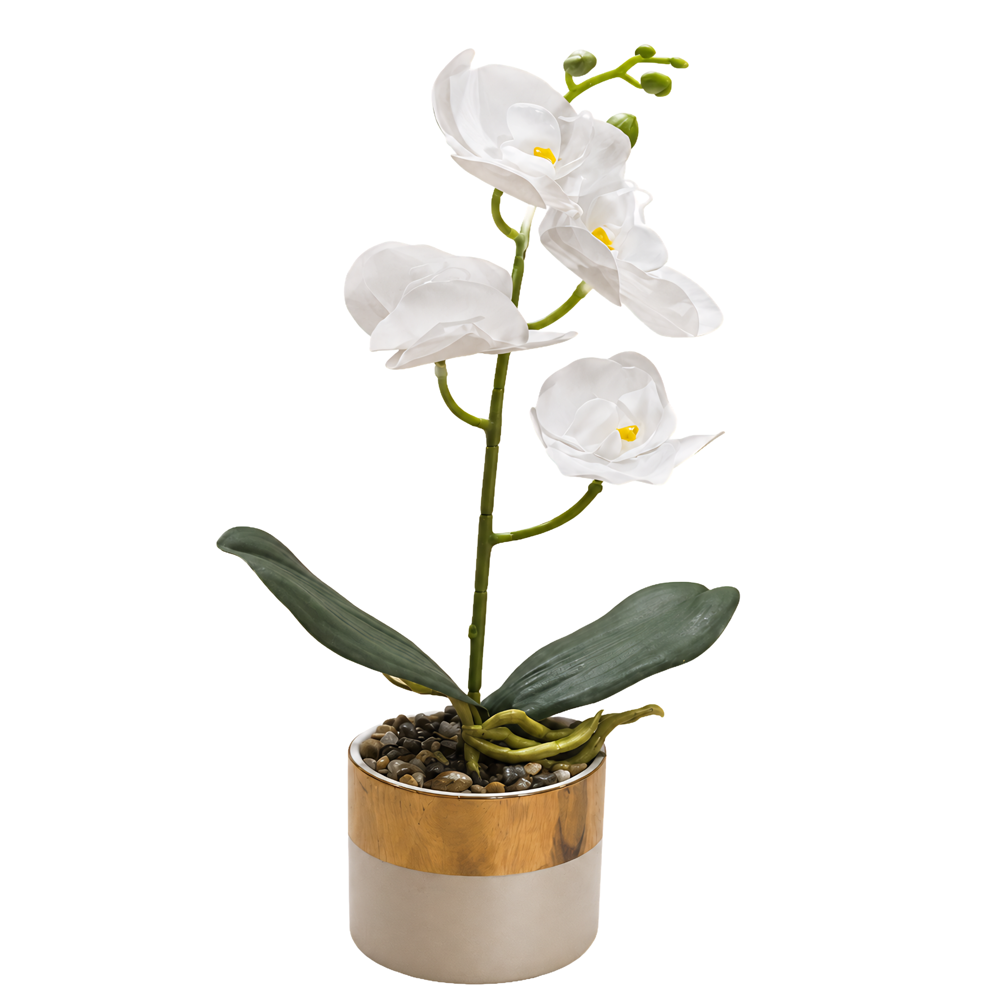 Orchidée Artificielle Pot Céramique Tunisie | Effet Bois Gris | Fiolla Home