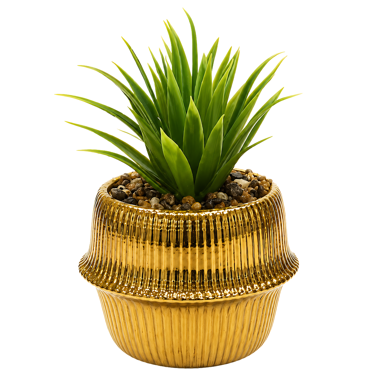 Plante