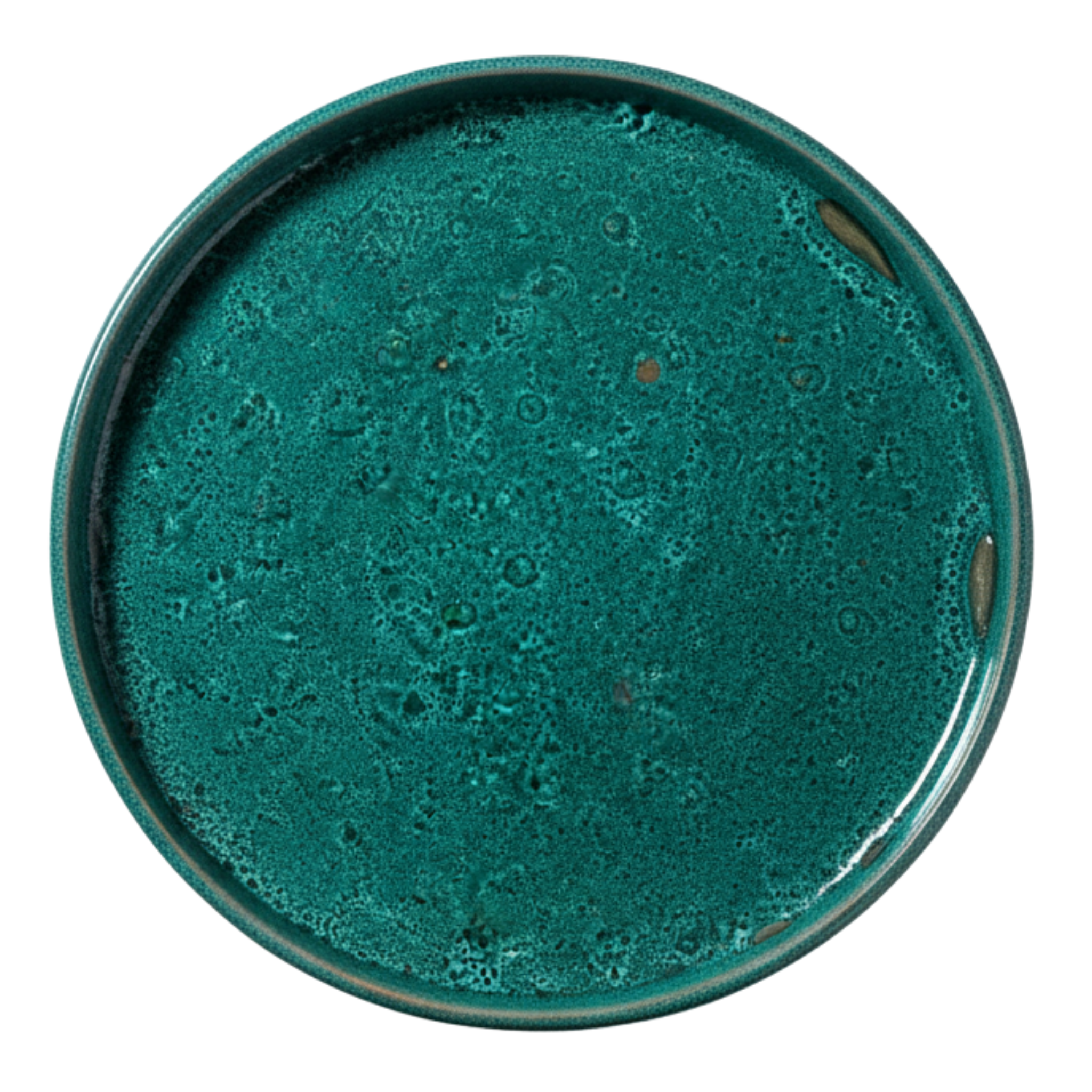 Plateau en céramique émaillé vert – Art de table Tunisie