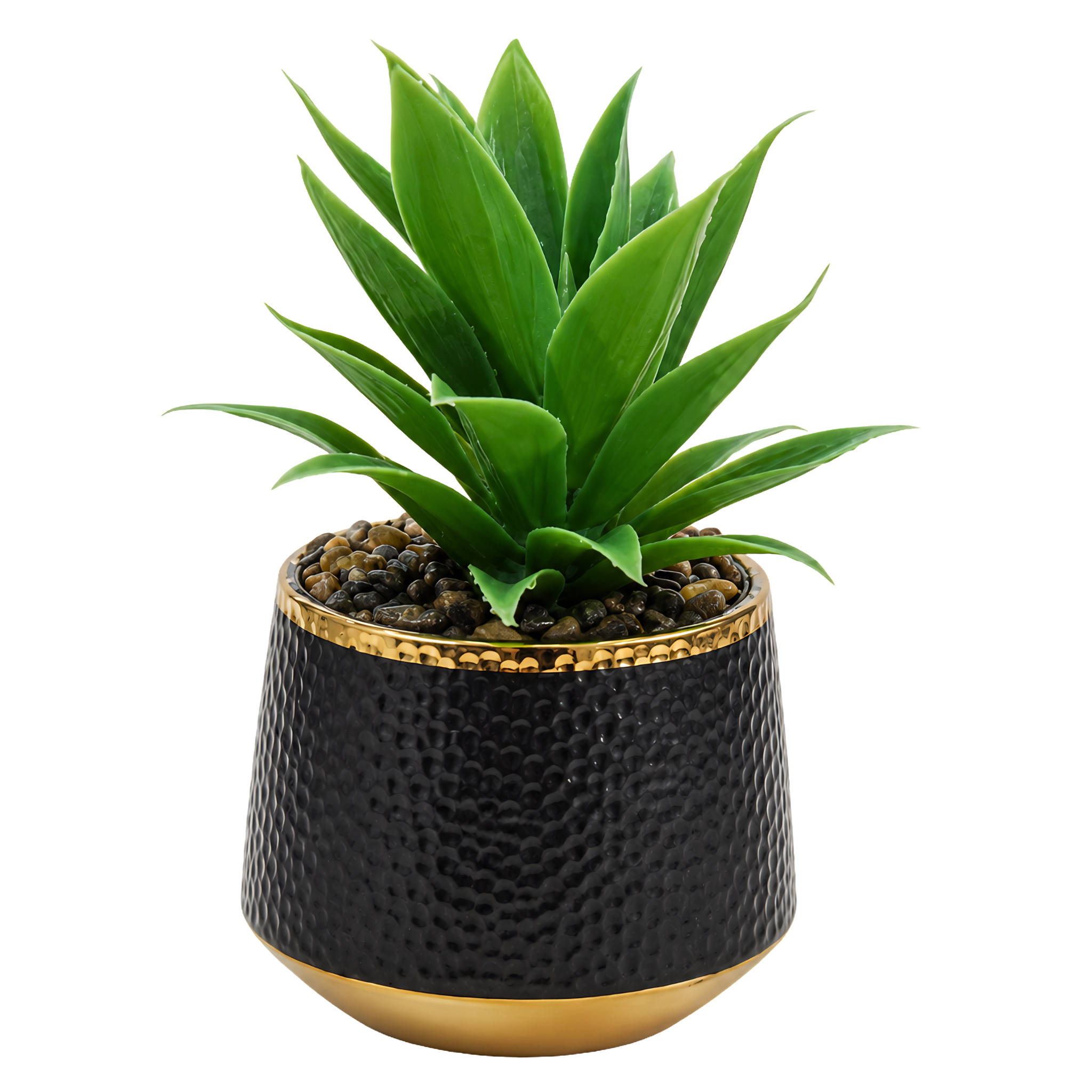 Plante