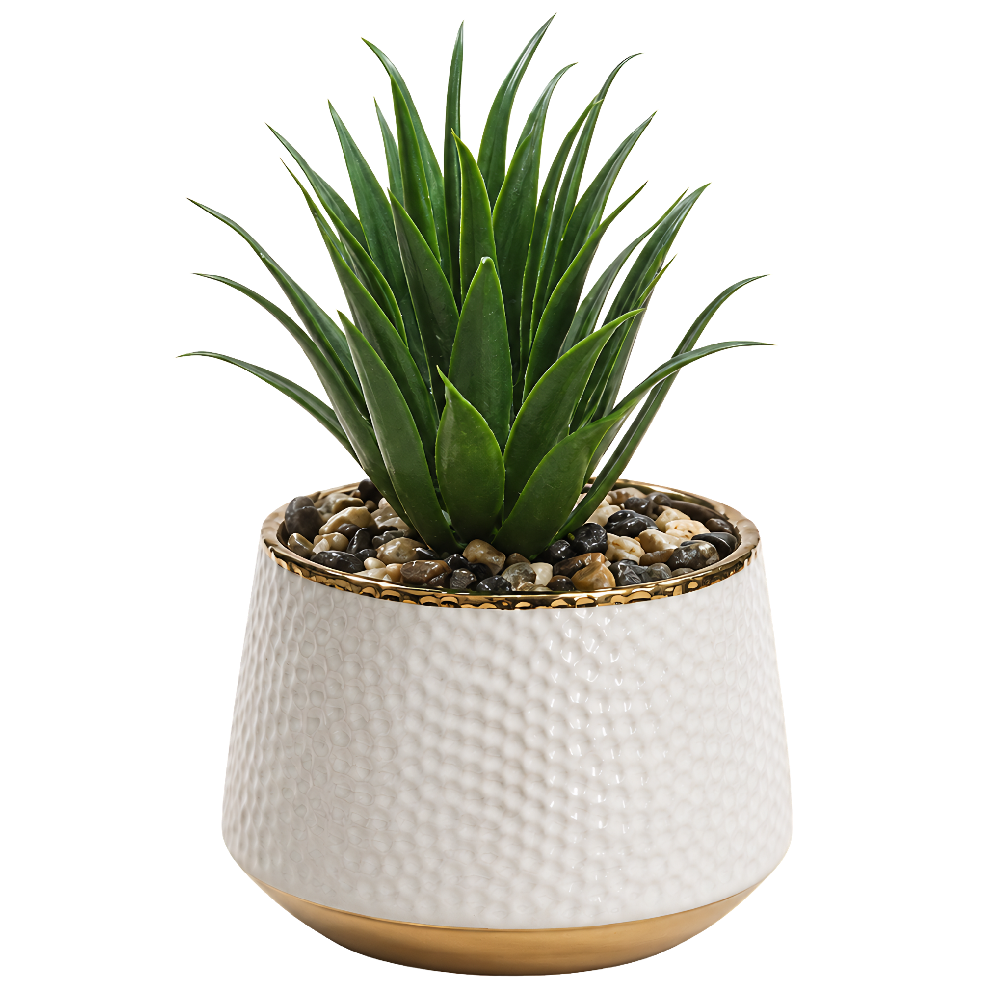 Plante