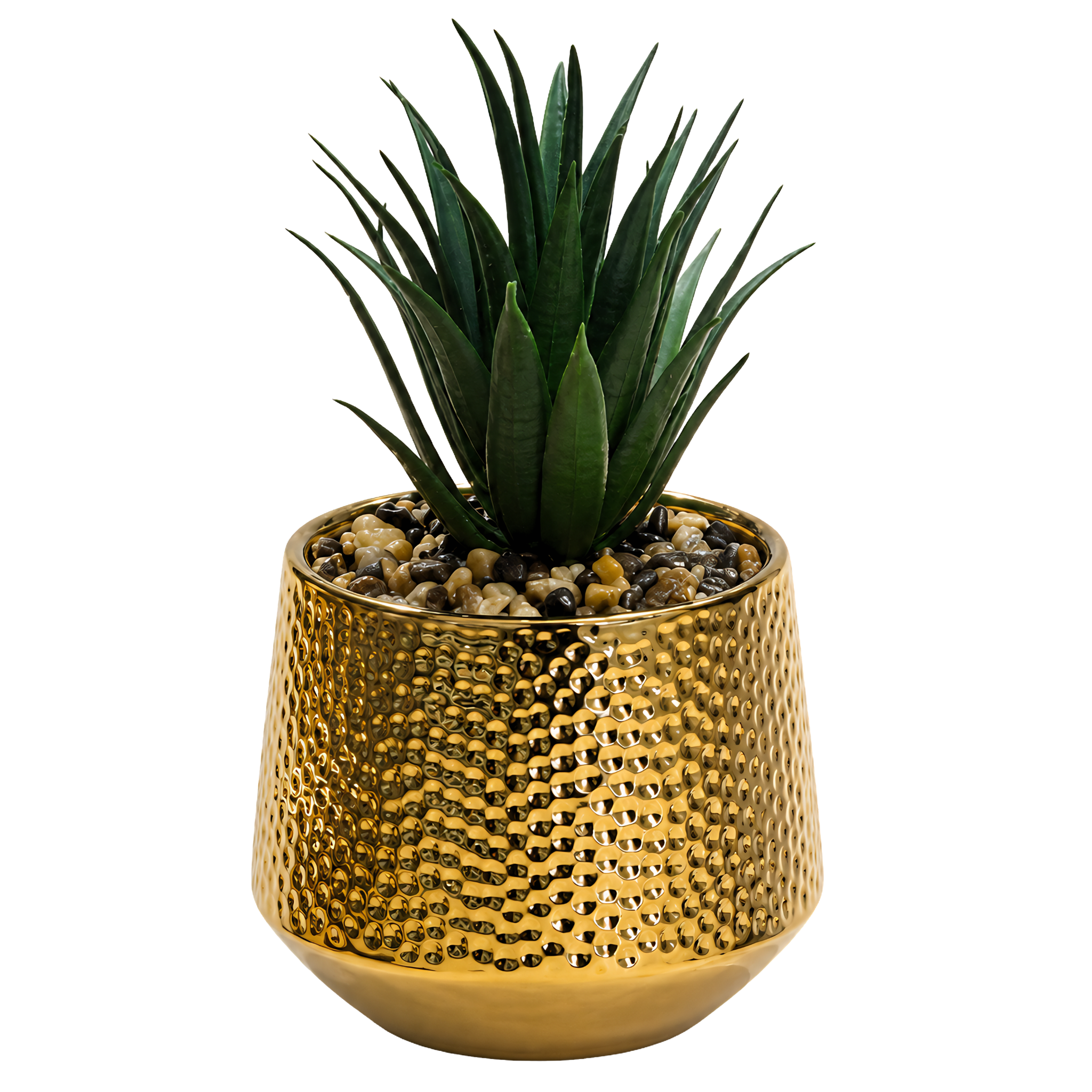 Plante