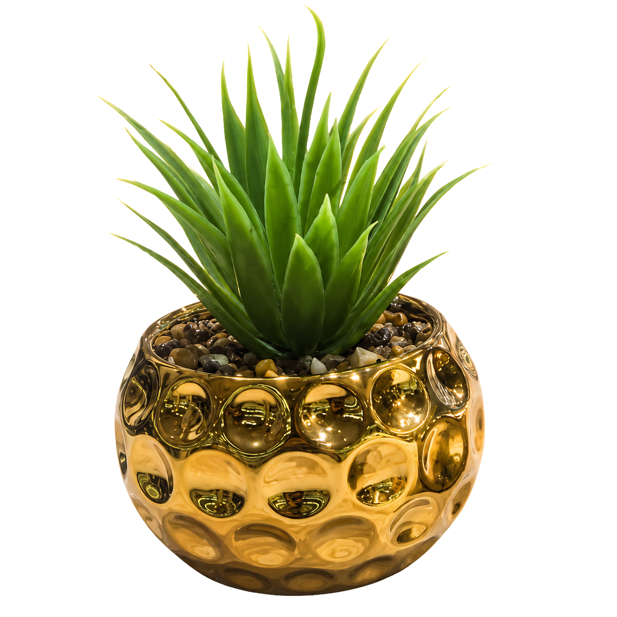 Plante
