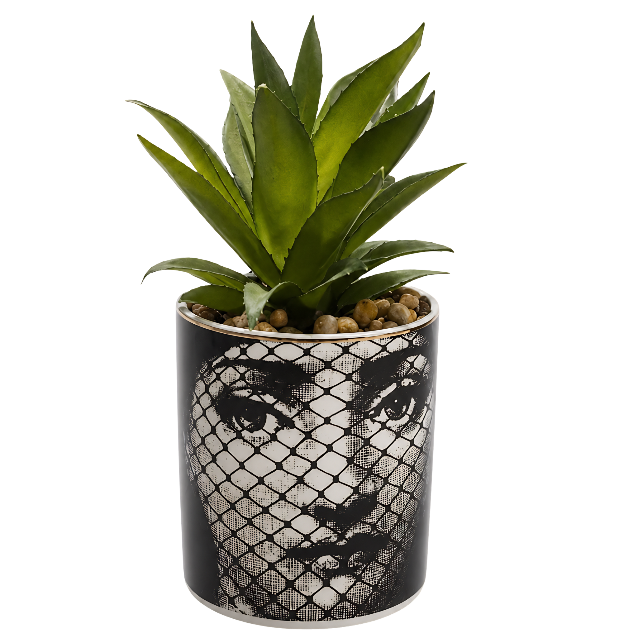 Plante Succulente Artificielle | Pot Visage Voilé Graphique Tunisie | Fiolla Home
