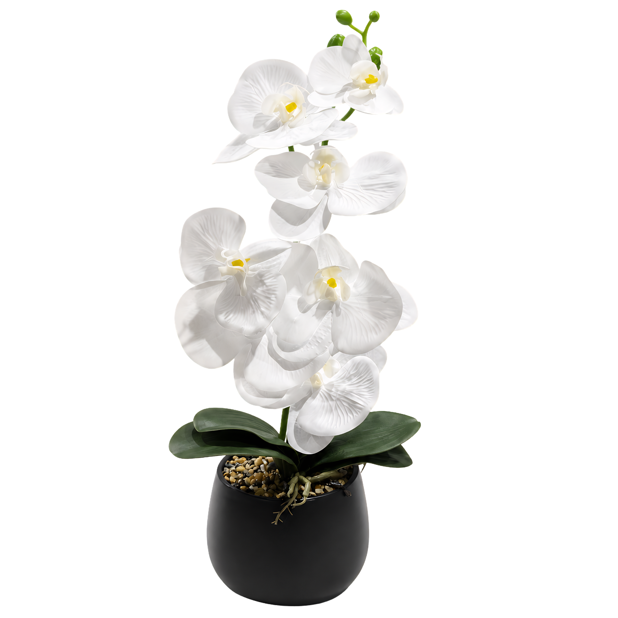 Orchidée Artificielle Pot Noir Mat Tunisie | Déco Moderne | Fiolla Home