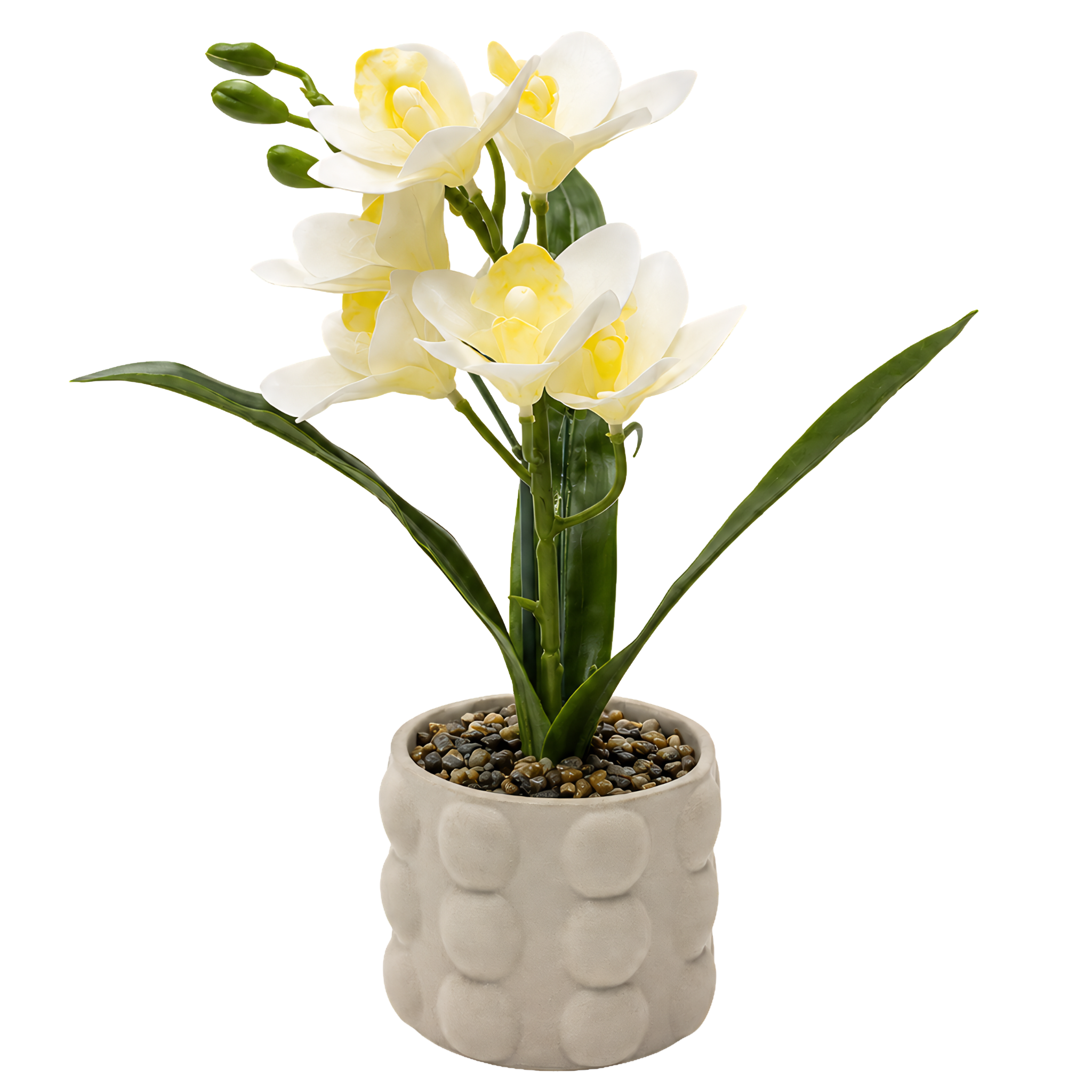 Mini Orchidée Cymbidium Artificielle | Pot Beige Pois Tunisie | Fiolla Home