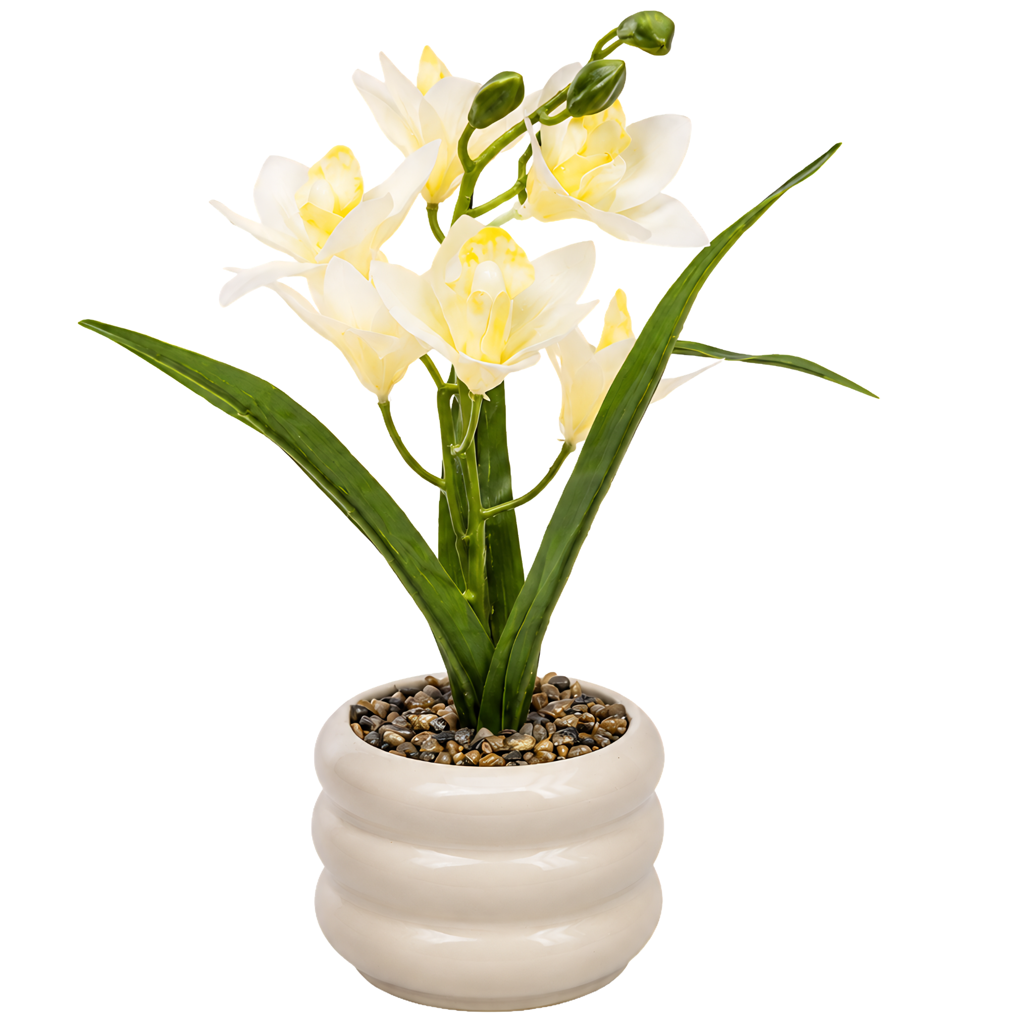 Mini Orchidée Cymbidium Artificielle Tunisie | Pot Beige Rond | Fiolla Home