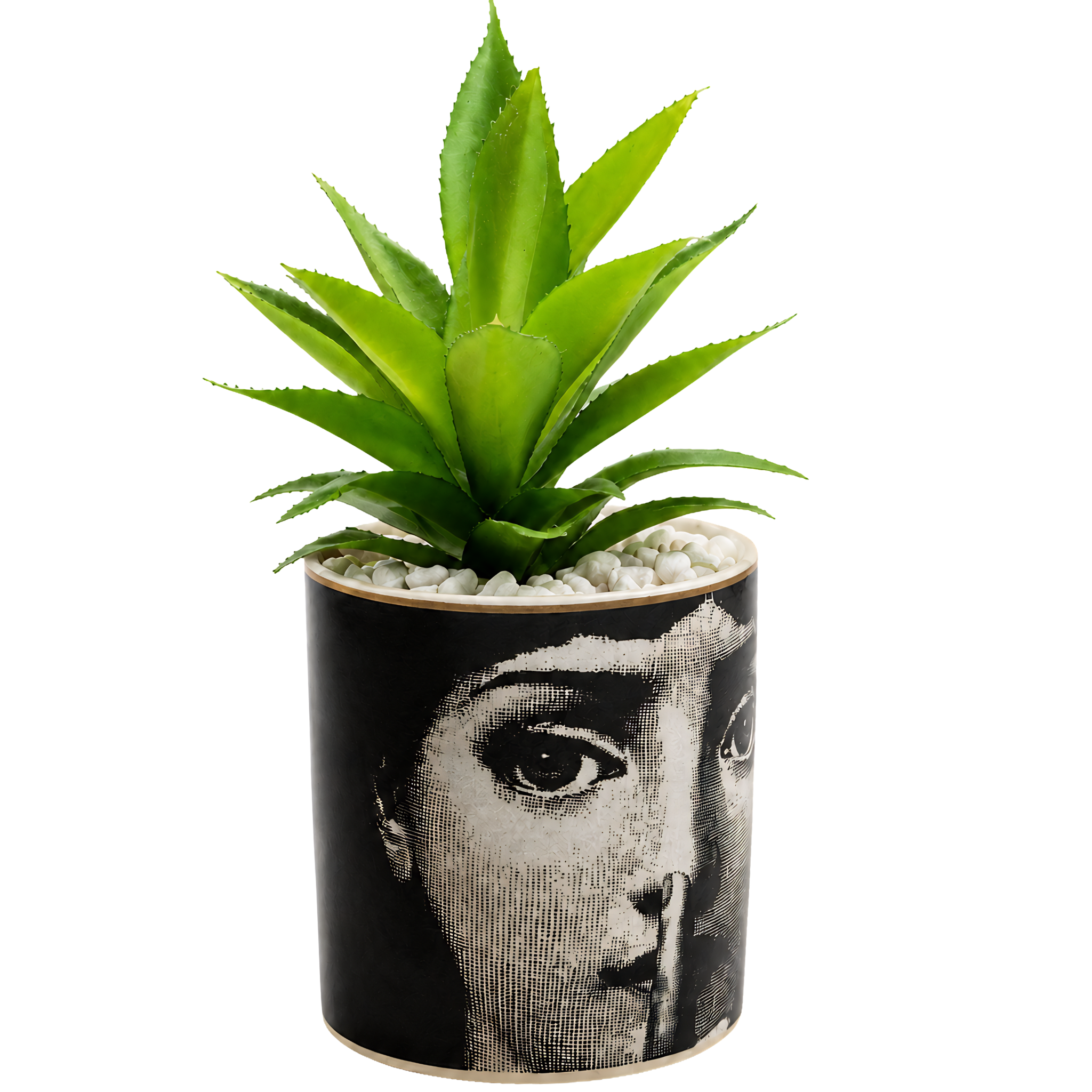 Plante Succulente Pot Visage Vintage Tunisie | Fiolla Home