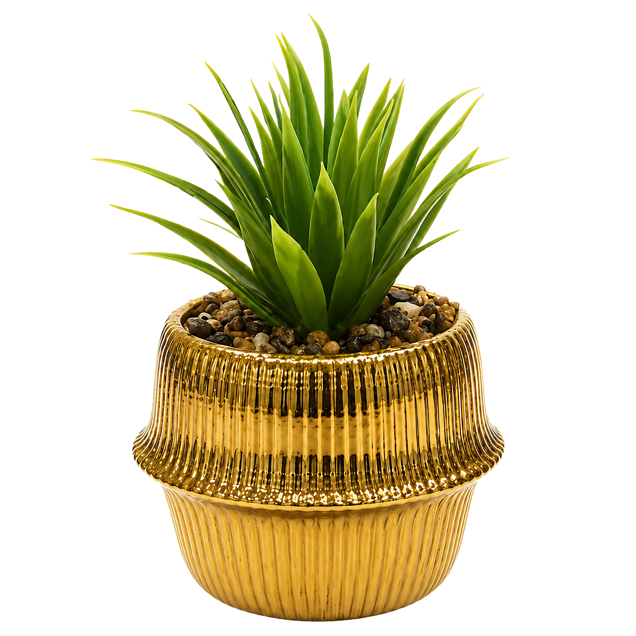 Plante